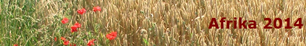 Afrika 2014