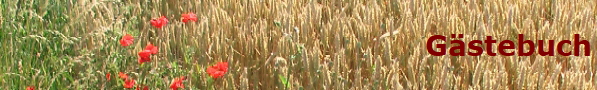 Gstebuch