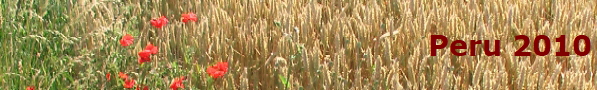 Peru 2010