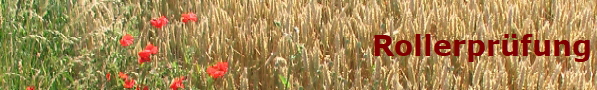 Rollerprfung